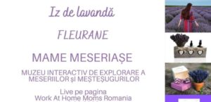 Read more about the article Iz de lavandă – Fleurane